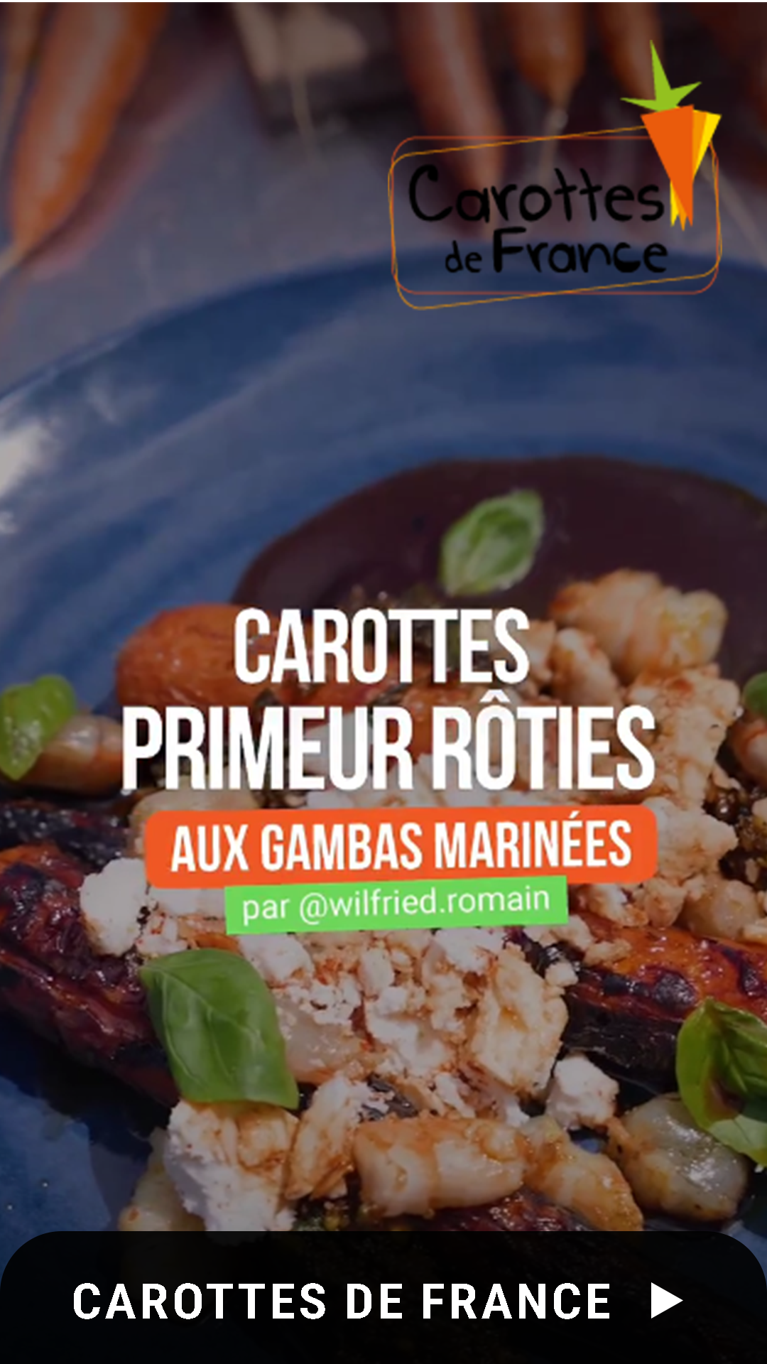 Projet_Carotte.png